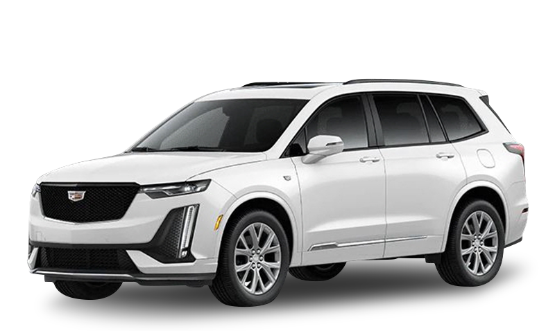 크리스탈 화이트 트리코트 익스테리어